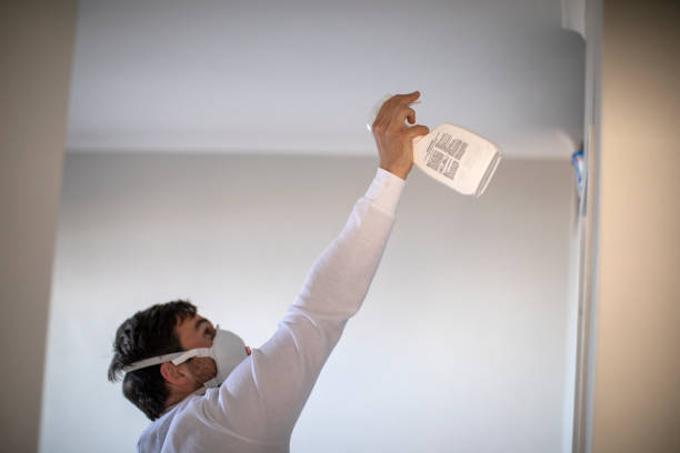 Office Mold Removal Services in Westmorland, CA