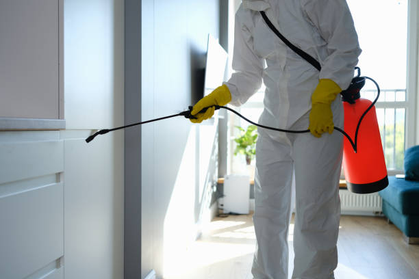 Best Mold Testing  in Westmorland, CA