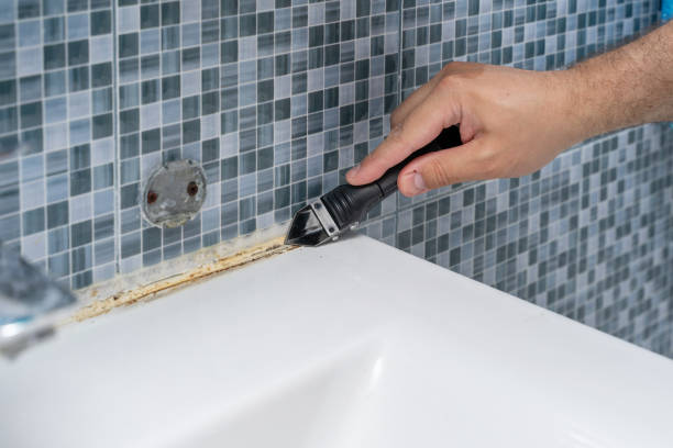 Best Emergency Mold Removal  in Westmorland, CA
